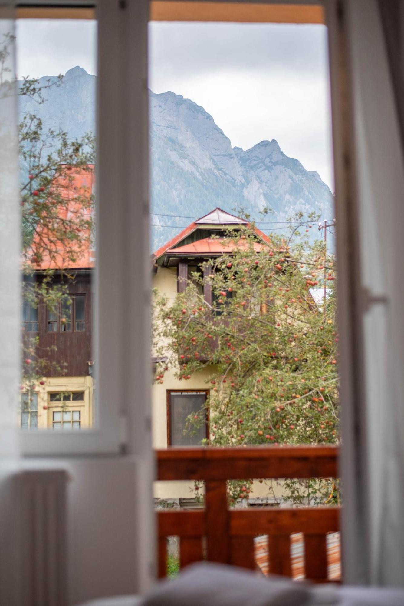 Casa Bucegi Busteni Ngoại thất bức ảnh